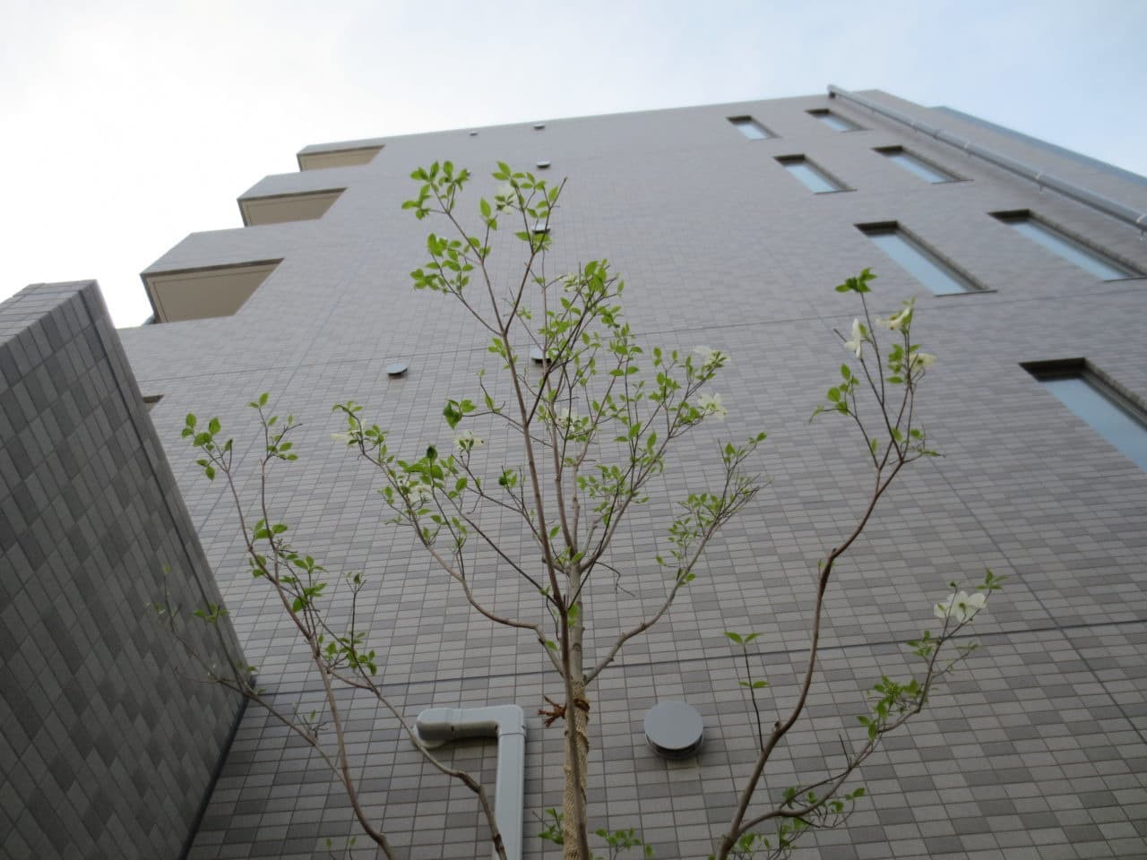 tmu-007.jpg