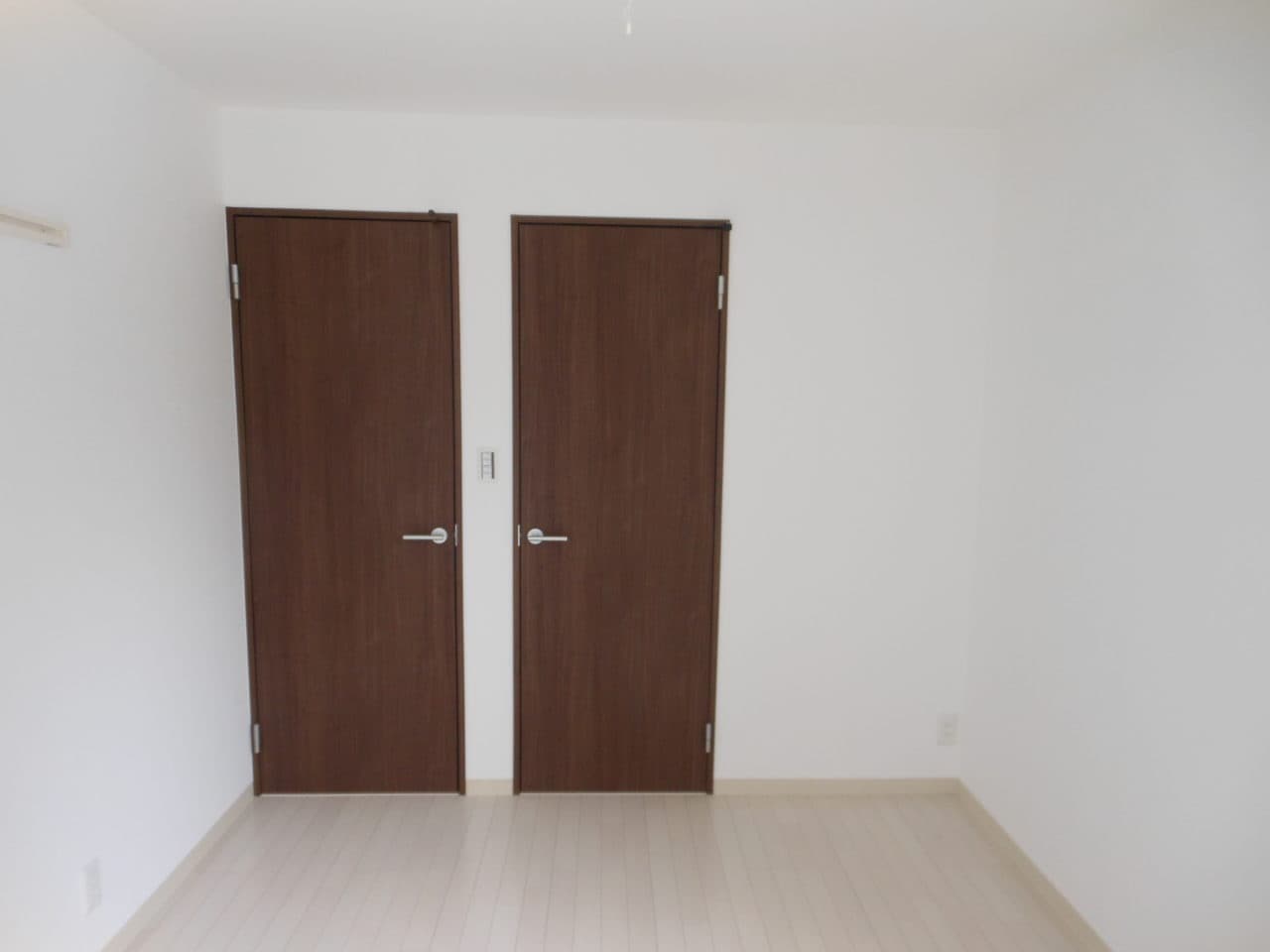 tms-002.jpg